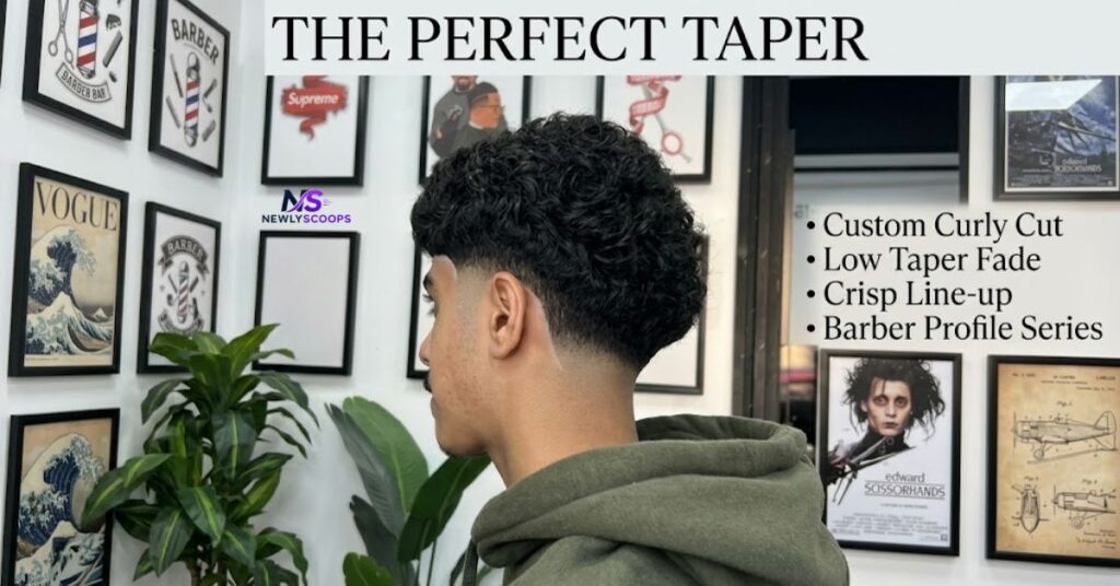 Low Taper With Short Curly Top