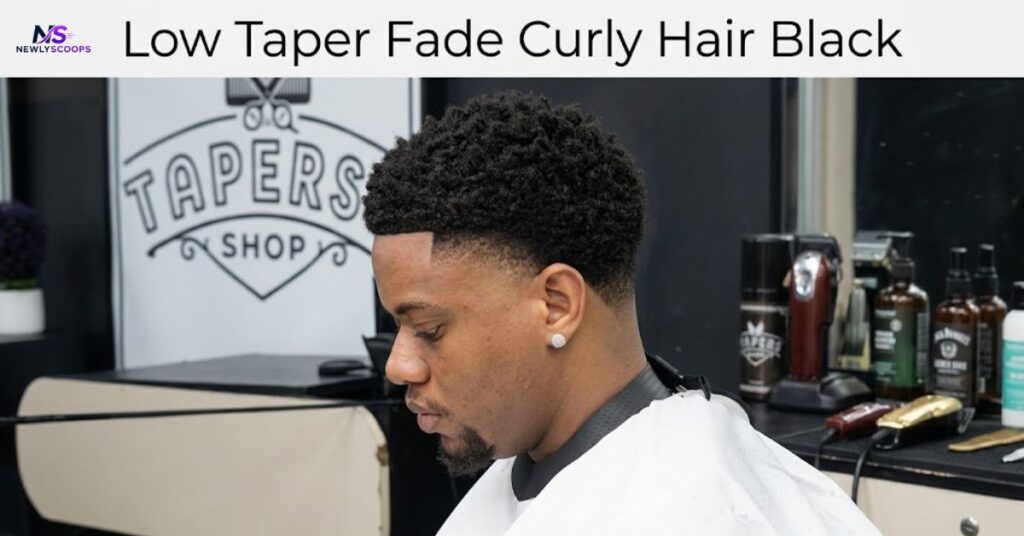 Low Taper Fade Curly Hair Black